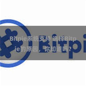 Bitpie系统支持 选择Bitpie的原因，你知道吗？