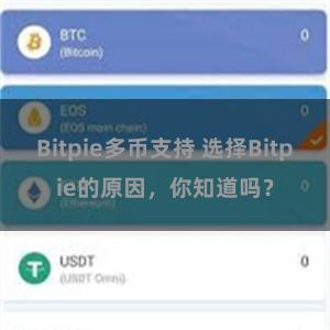 Bitpie多币支持 选择Bitpie的原因，你知道吗？