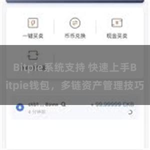 Bitpie系统支持 快速上手Bitpie钱包，多链资产管理技巧