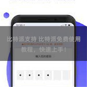 比特派支持 比特派免费使用教程，快速上手！
