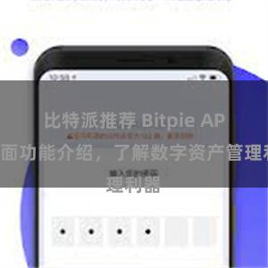 比特派推荐 Bitpie APP全面功能介绍，了解数字资产管理利器
