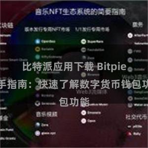 比特派应用下载 Bitpie新手指南：快速了解数字货币钱包功能