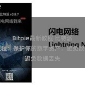 Bitpie最新教程 比特派备份教程：保护你的数字资产，避免数据丢失