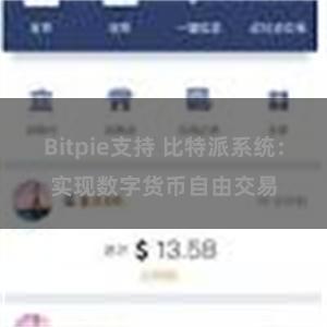 Bitpie支持 比特派系统：实现数字货币自由交易