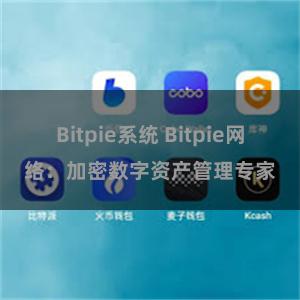 Bitpie系统 Bitpie网络：加密数字资产管理专家