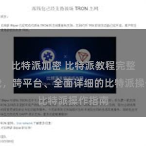比特派加密 比特派教程完整版下载，跨平台、全面详细的比特派操作指南