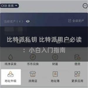 比特派私钥 比特派用户必读：小白入门指南